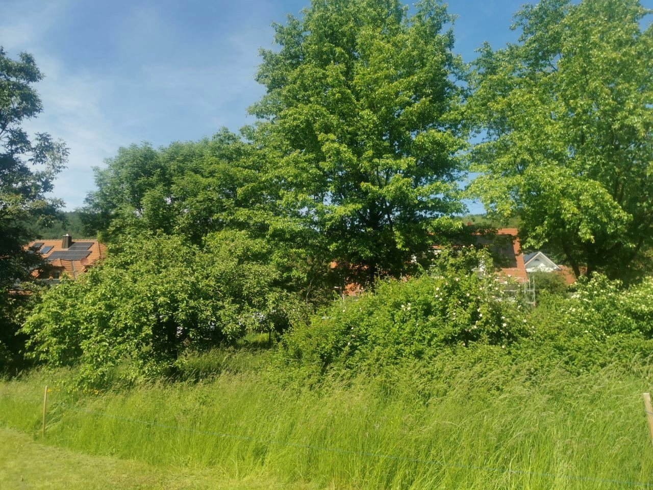 Grundstück ideal für DHH Grundstück ideal für DHH